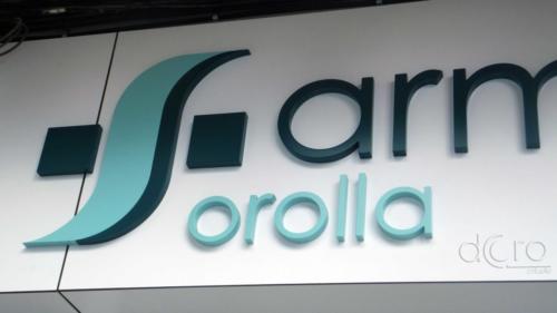 Francisca Llinares 4